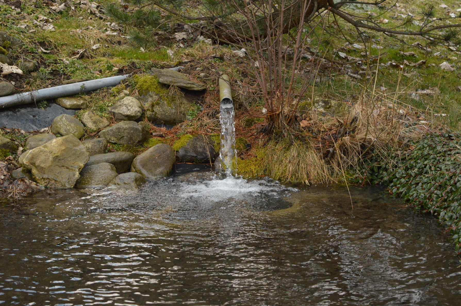 DSC_0663