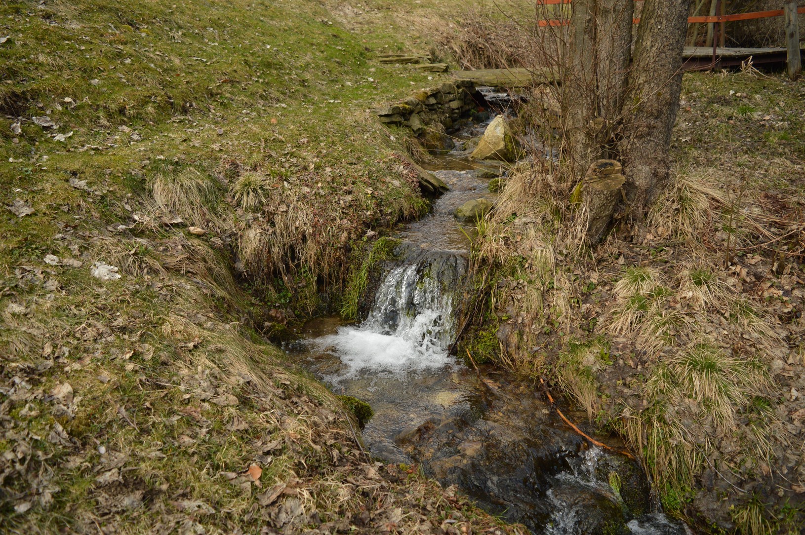DSC_0673
