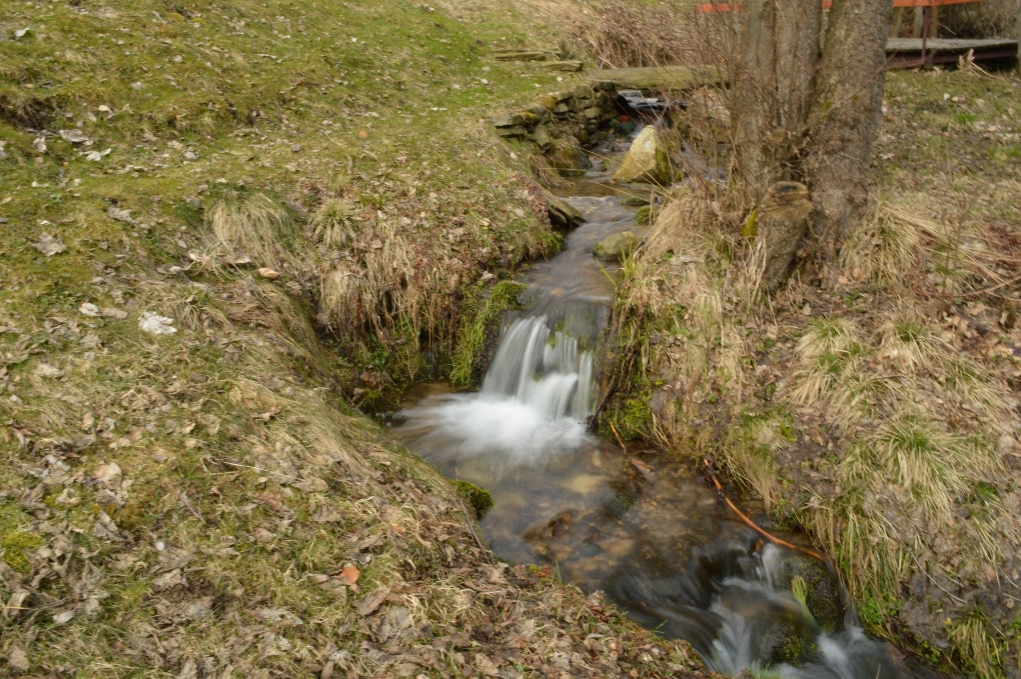 DSC_0677