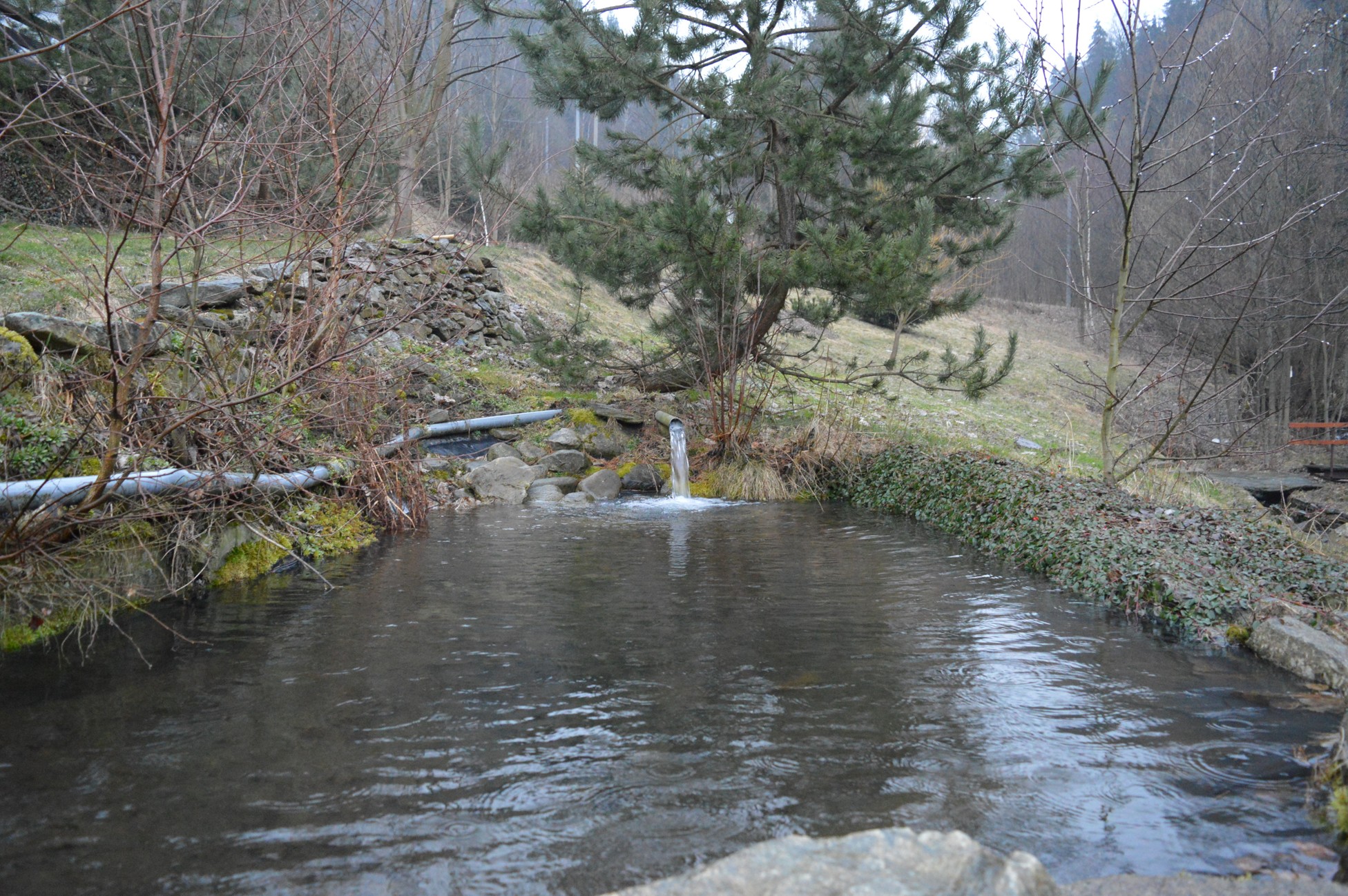 DSC_0594