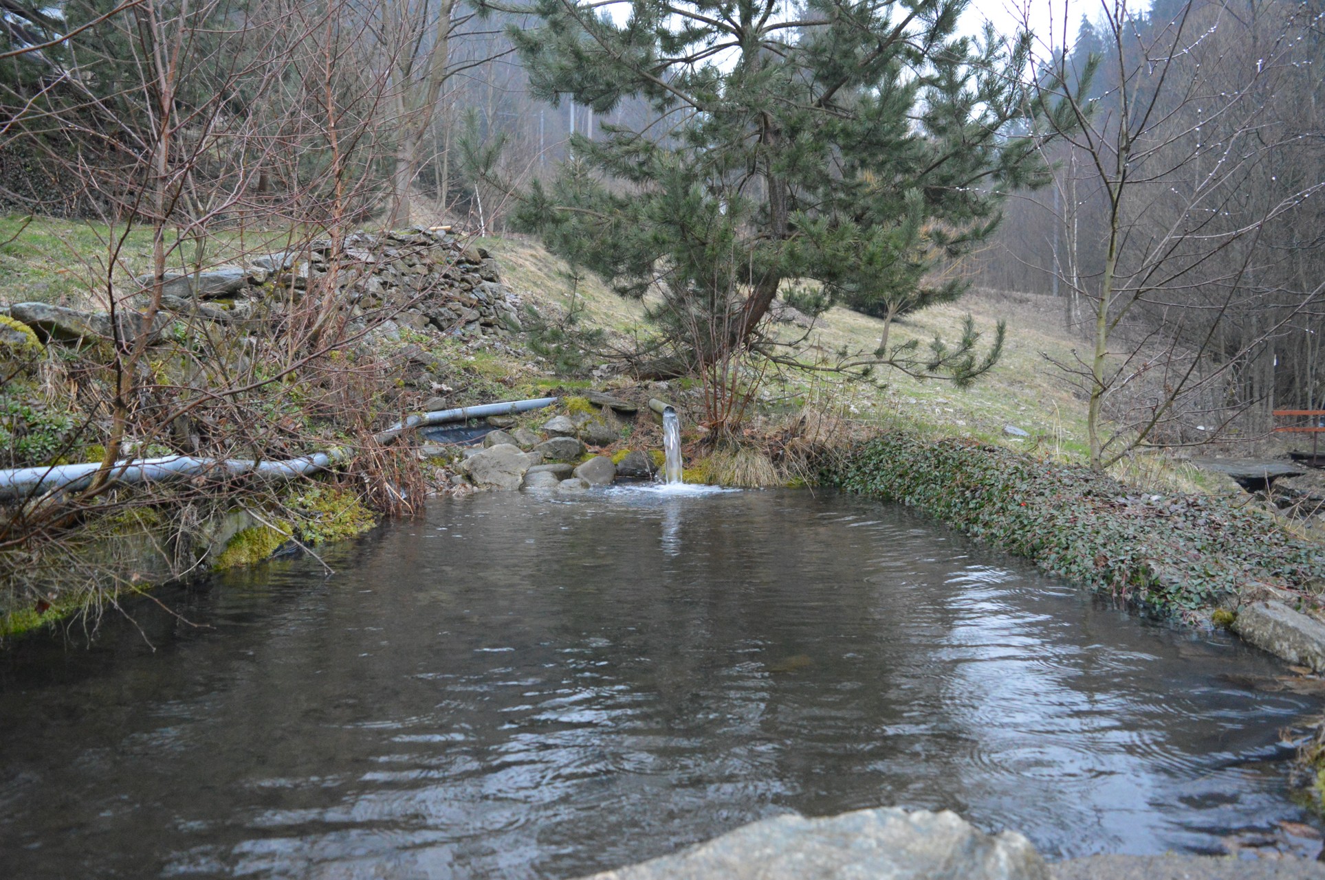 DSC_0595