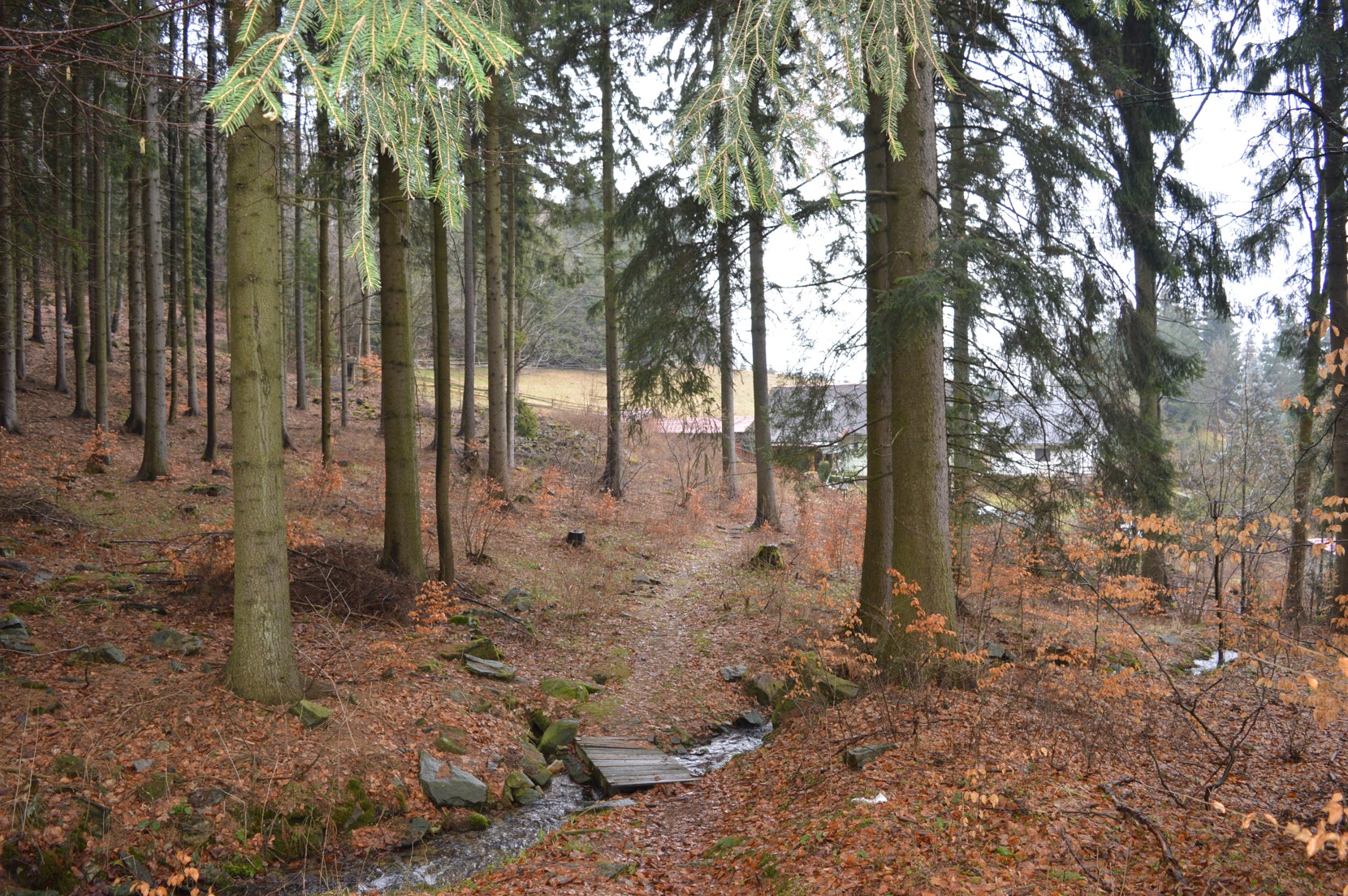 DSC_0634