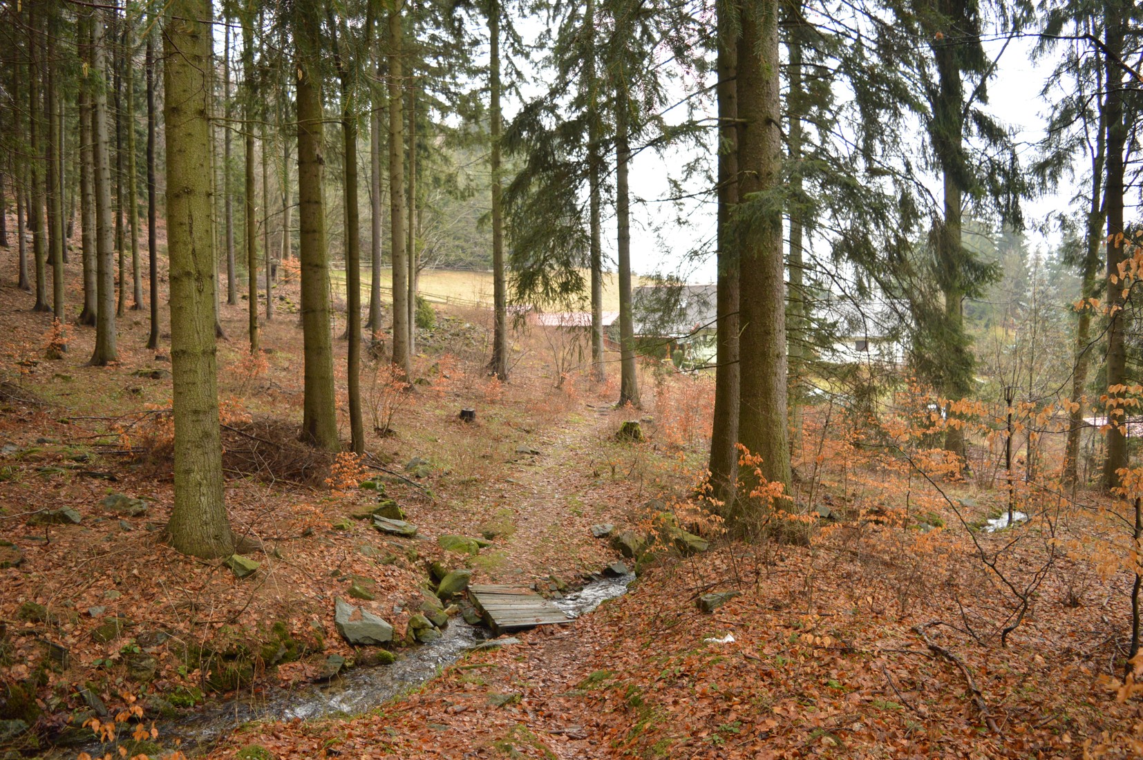 DSC_0635