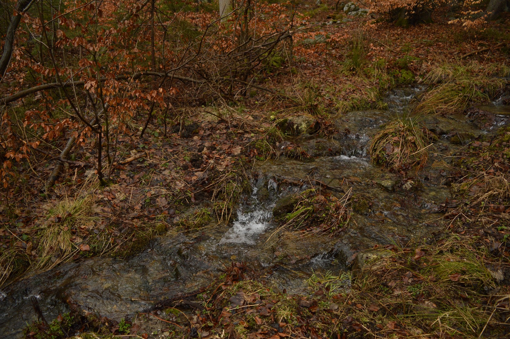 DSC_0640 – kopie