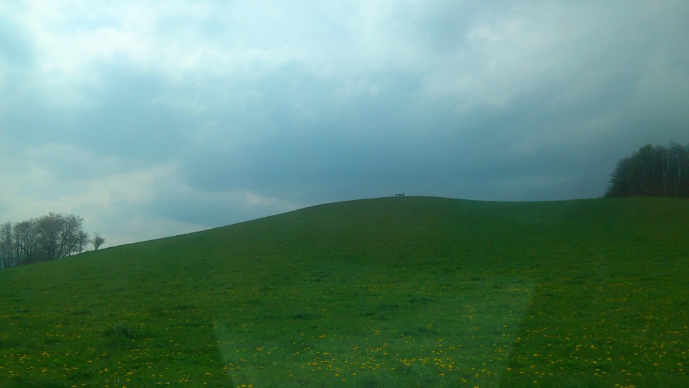 DSC_0443