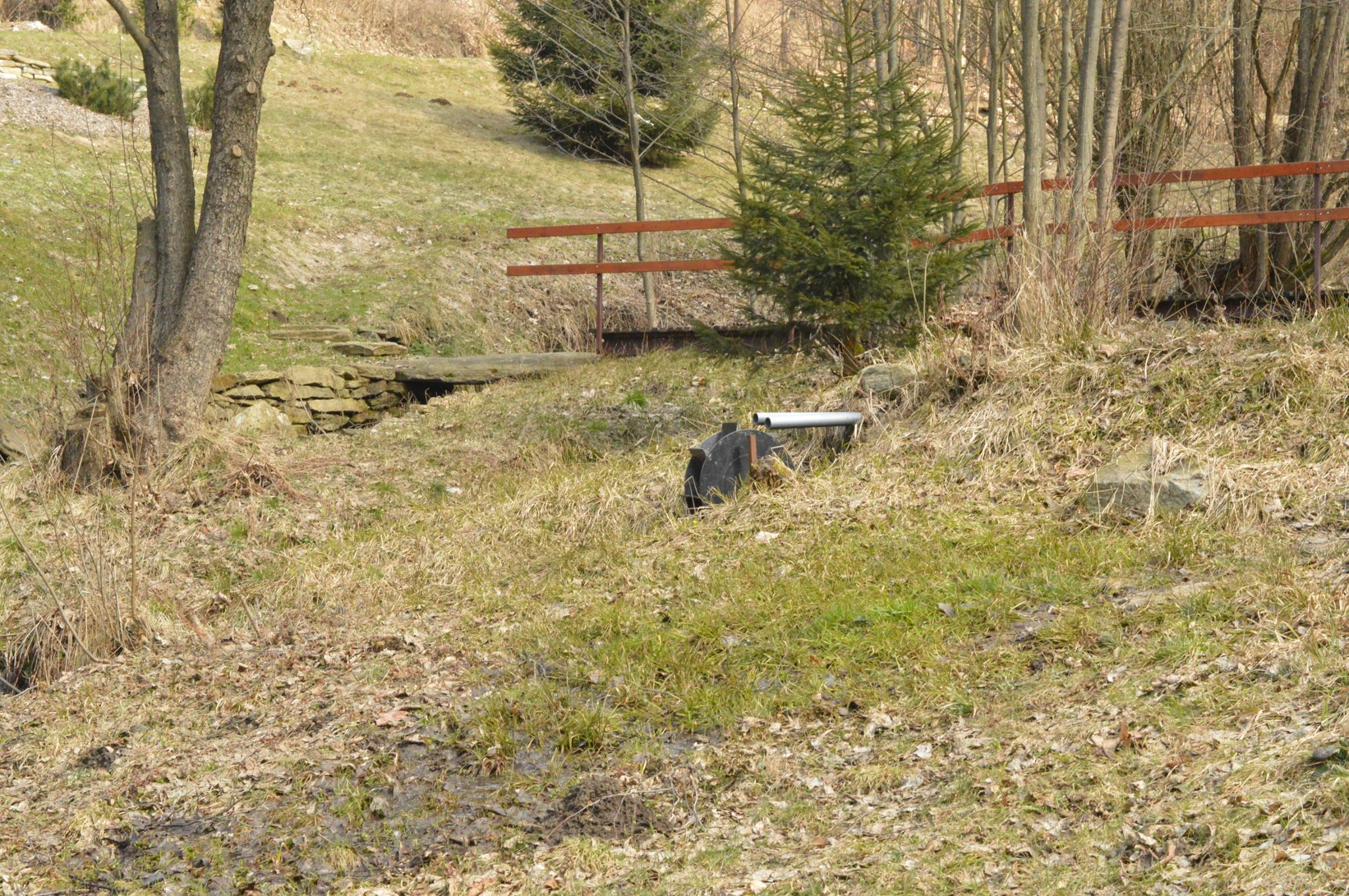 DSC_0862
