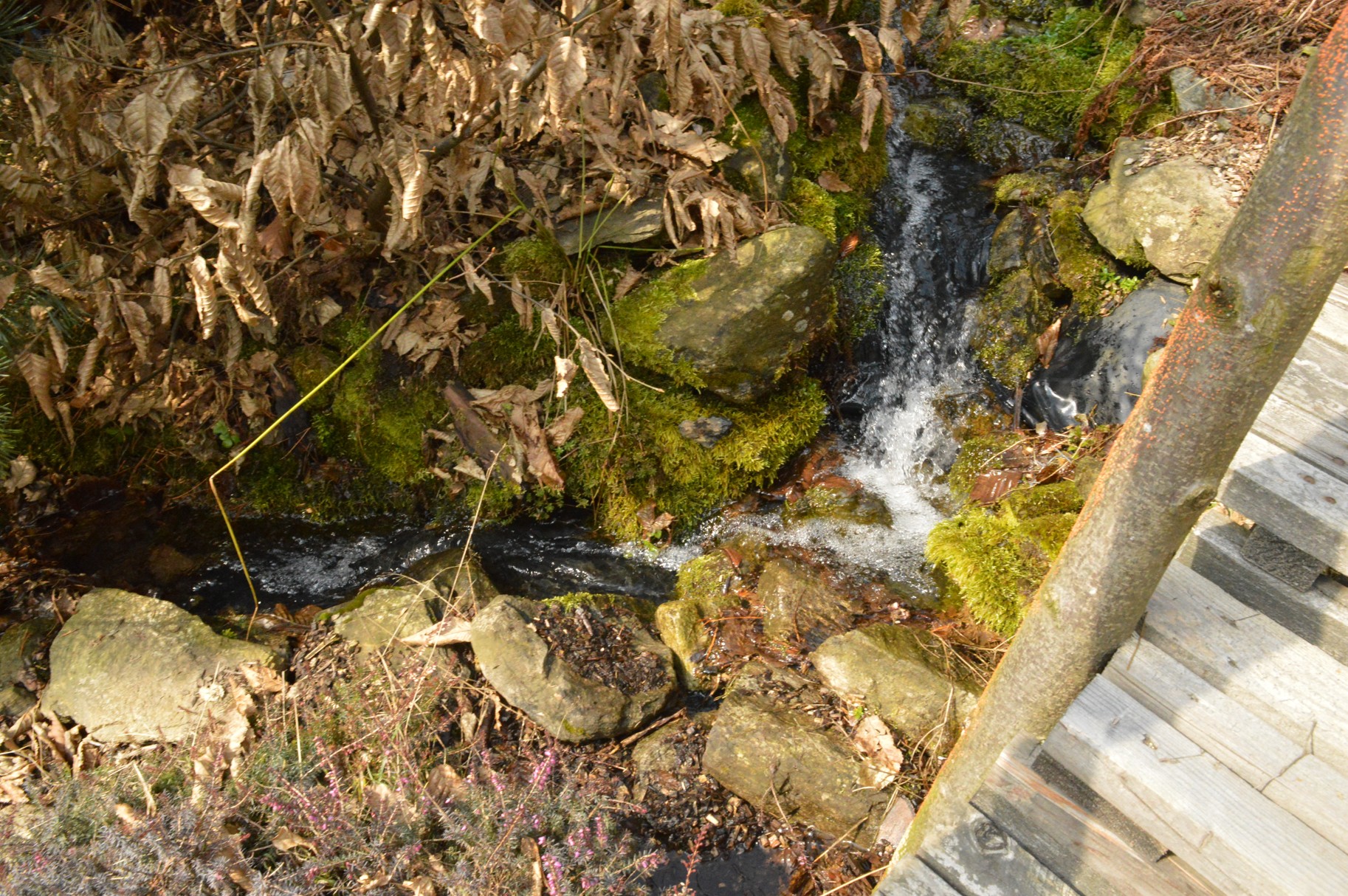 DSC_0873