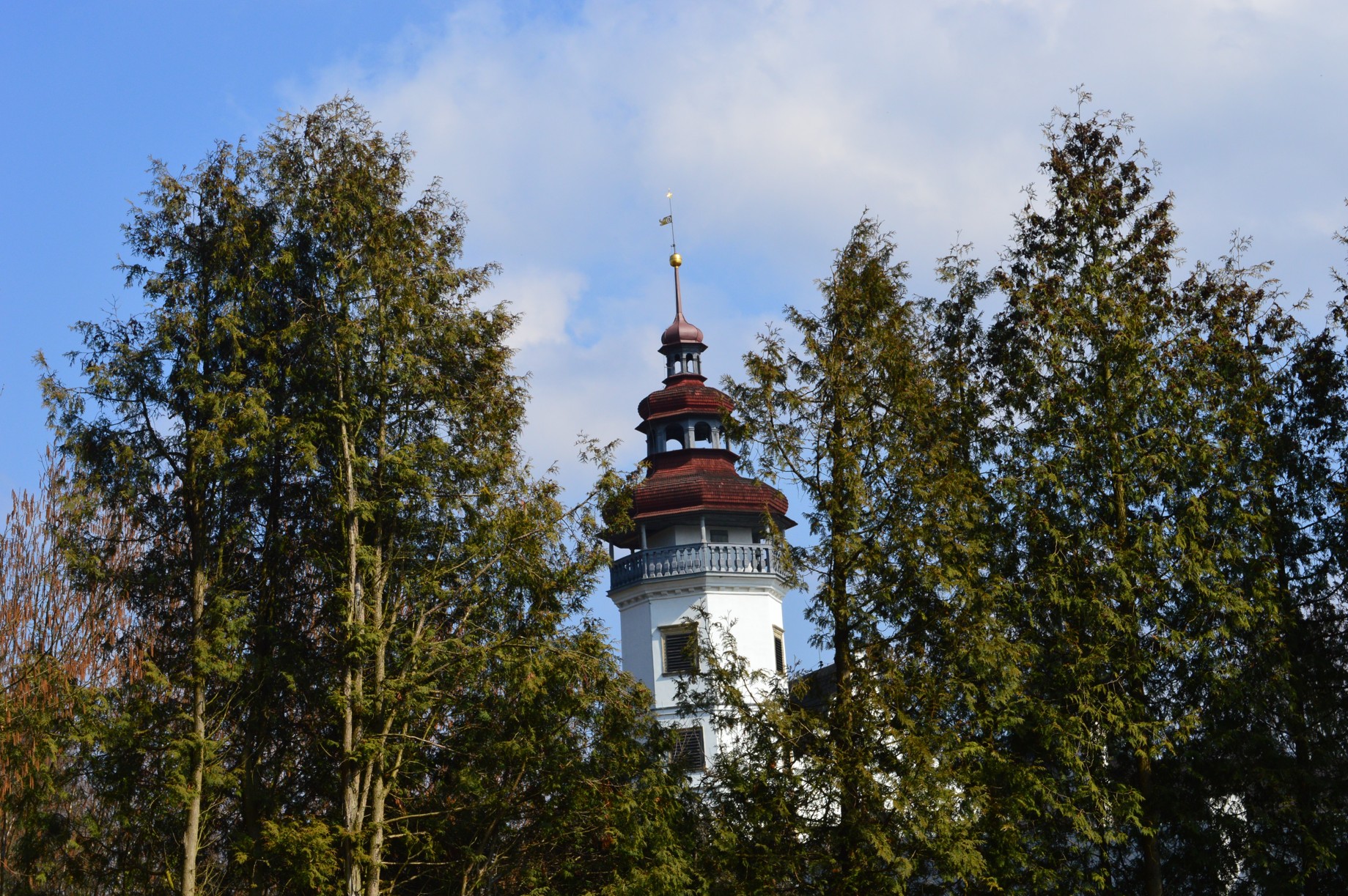 DSC_0938