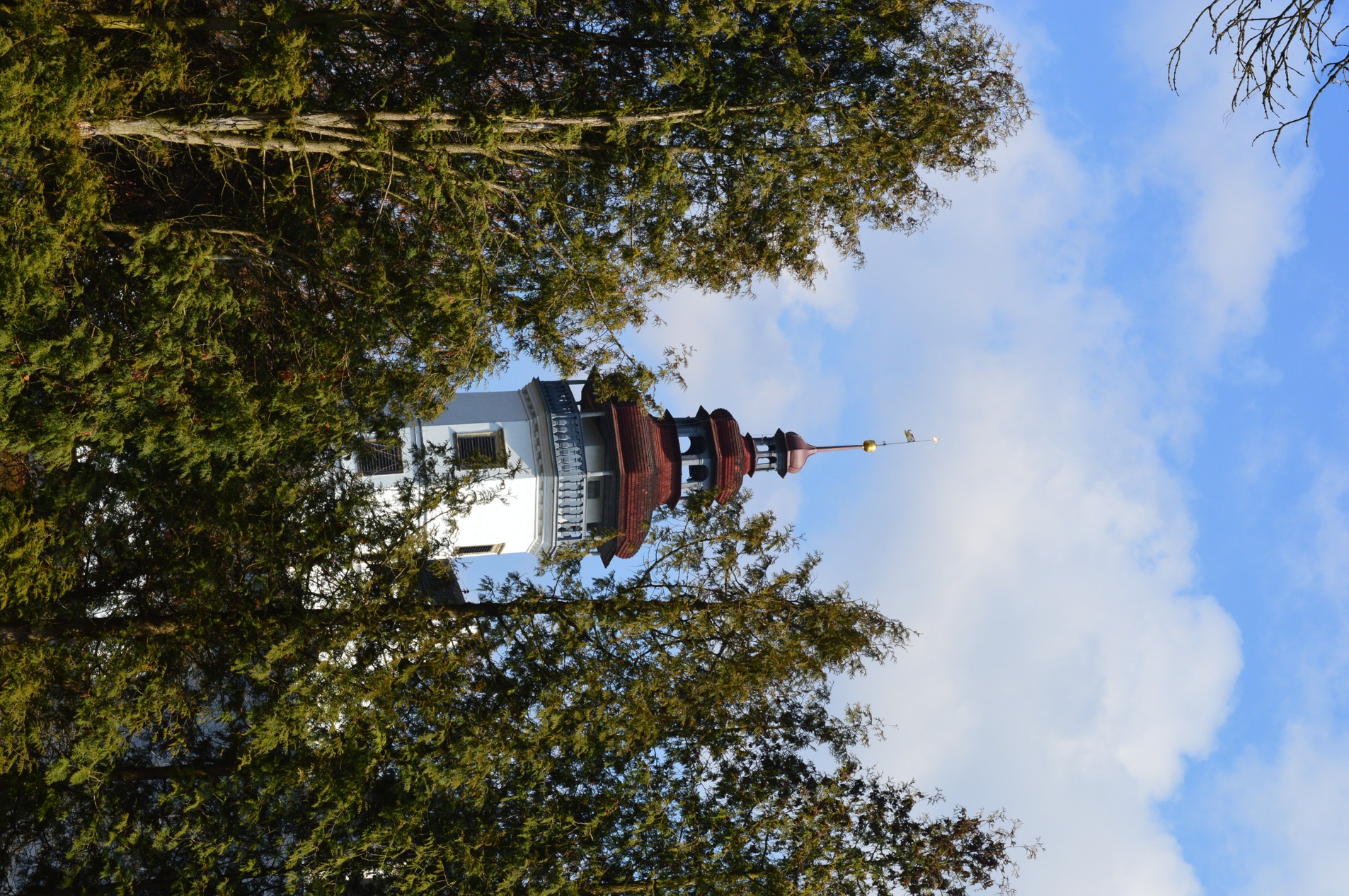 DSC_0939