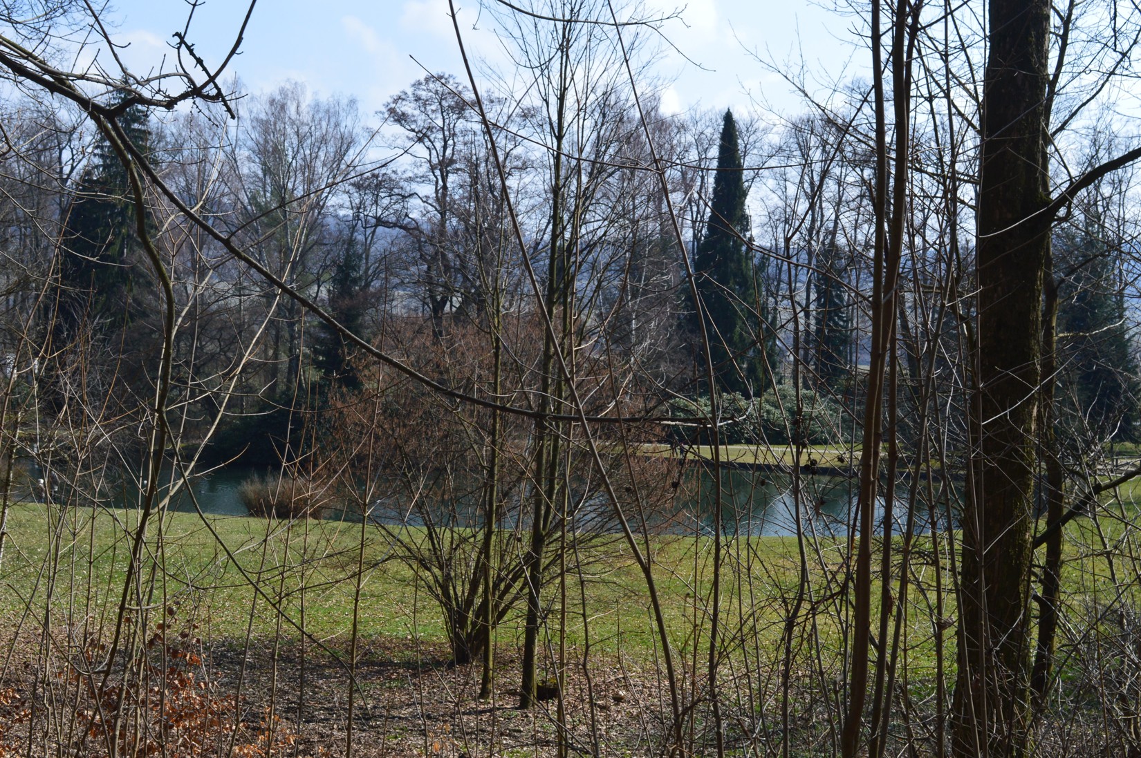 DSC_0940