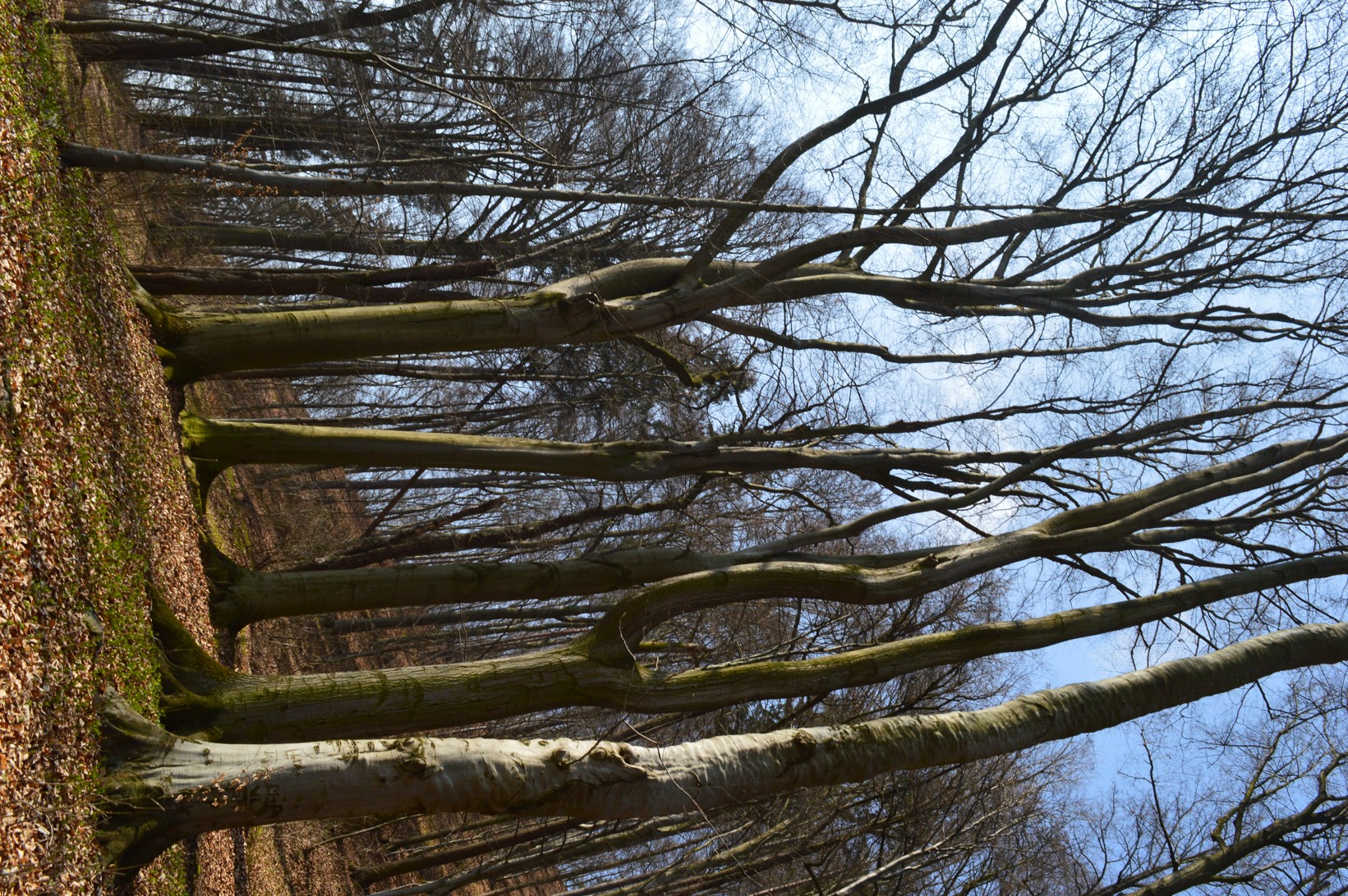 DSC_0949
