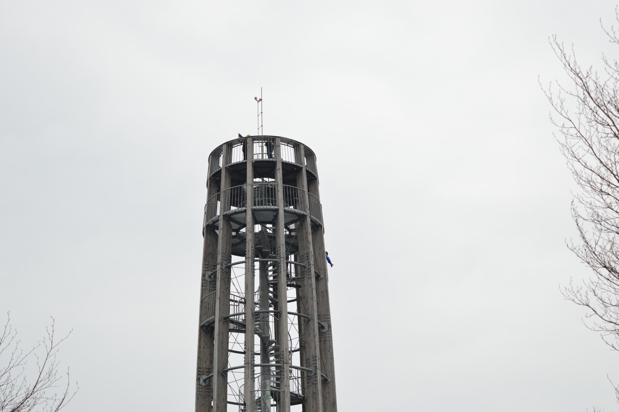 DSC_0416